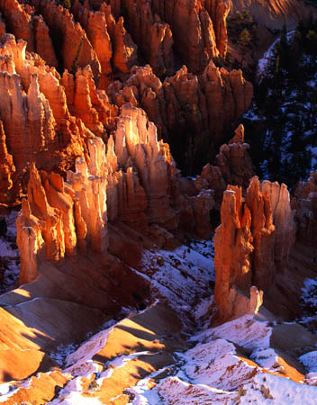 Bryce Hoodoos 1