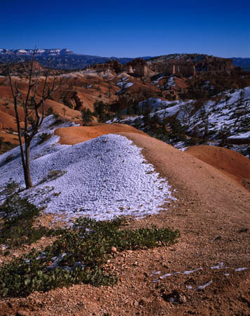 Dune & castle, Quns Gdn P