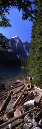 479 Logs at Moraine Lake