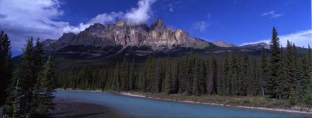 484 Castle Mountain