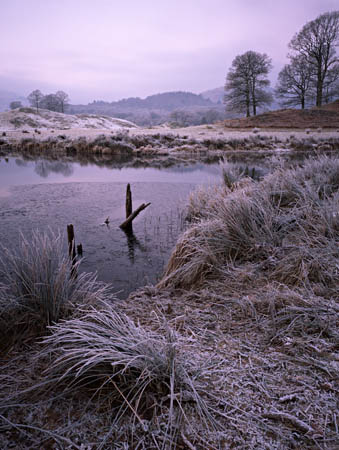 Frosty Brathay with posts