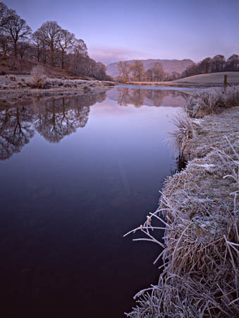Trees and frost, R Brathay