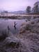 Frosty Brathay with posts