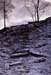 Frosty steps, Gunpo#2FF93A2