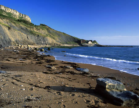 267 Chapman's Pool 3