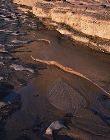 Nash Point detail 2