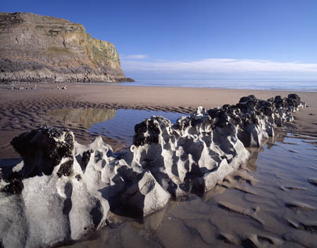 Mewslade Beach Groyne print
