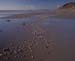 Rhossili Beach pebbles c1