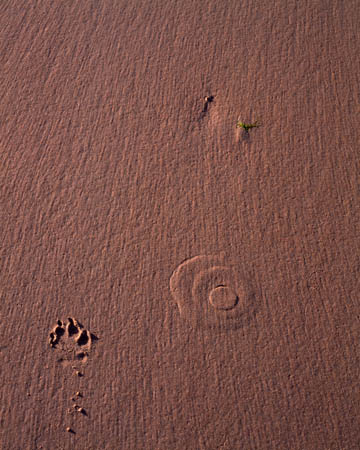 St Brelade Beach