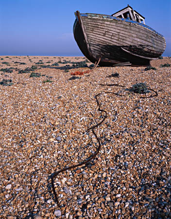 Dungeness 8b