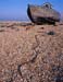 Dungeness 8b