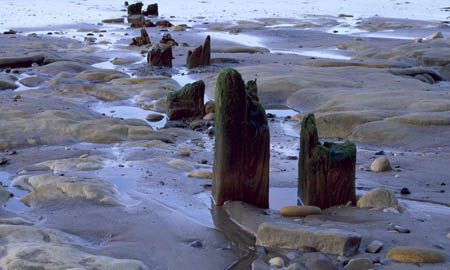 Groynes at Whitby