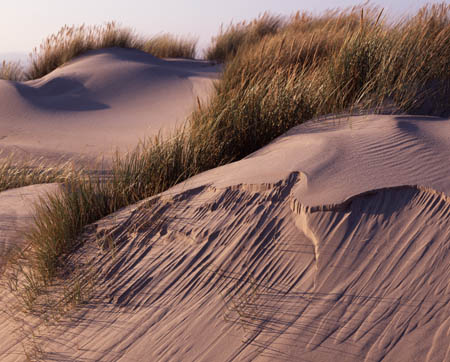Budle Dunes 1