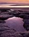 Bamburgh rock pool 1