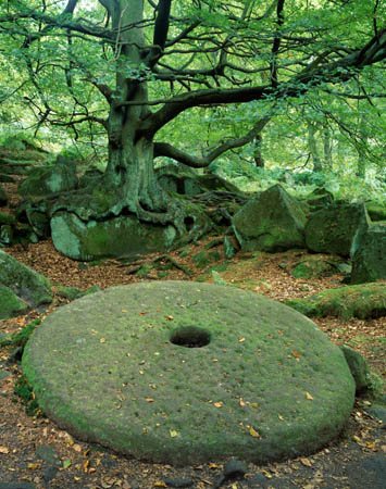 Millstone and Tree Padley G