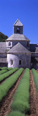 348 Abbaye Senanque