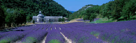 409 Lavender & Abbaye 0008