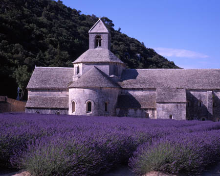 433 Abbaye Senanque