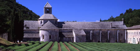 Abbaye Senanque 180mm