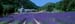 409 Lavender & Abbaye 0008
