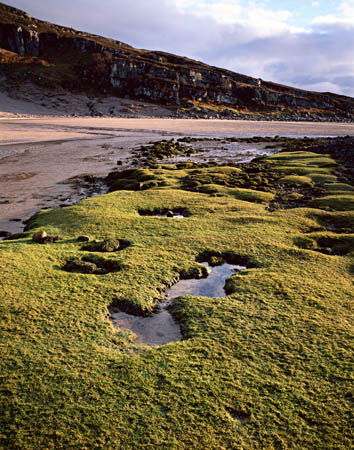 Pools and cliff, Sands Bay