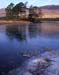 Ice and Trees, Loch Tulla