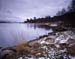 Loch Tulla view gf reeds