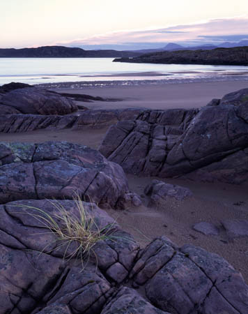 Firemore beach with grass