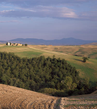 Capella and barn