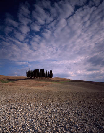 The Clump S Quirico