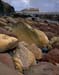 544 Nab and rocks at#40003
