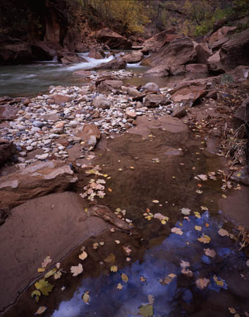 Detail nr narrows Zion