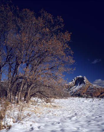 Pine Valley Peak, Kolob