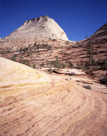 Side Canyon 1, Zion