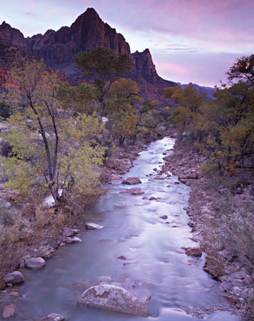 Watchman in Pink