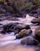 Rocks and virgin river1