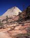 Side canyon& trees, Zion